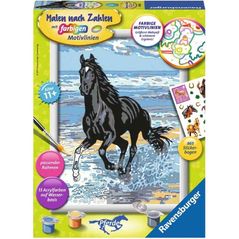 Paint by Numbers 18X24cm Black Horse