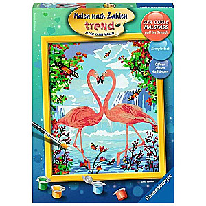 Paint by Numbers 30X24cm Flamingo Love
