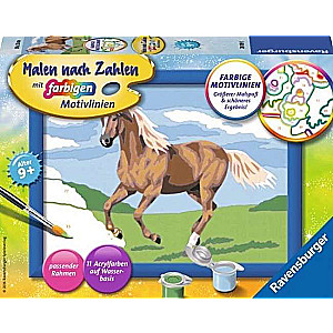 Paint by Numbers 13X18cm Brown Horse