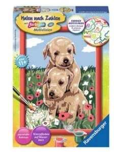 Painting by numbers - Two puppies in poppies