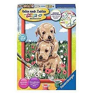 Painting by numbers - Two puppies in poppies