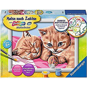 Paint by Numbers 13X18cm Two Red Kittens