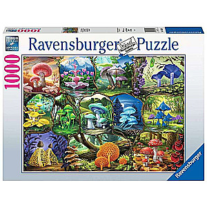 Puzzle 1000 Beautiful Mushrooms