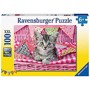 Puzzle 100 Cute kitty