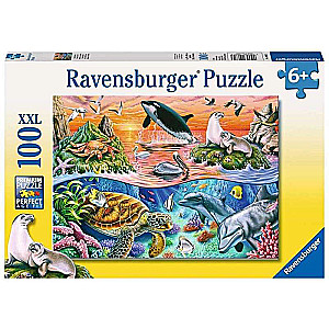 Puzzle 100 Ocean