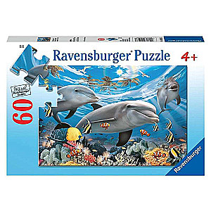 Puzzle 60 Dolphins