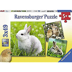 Puzzle 3x49 Rabbits
