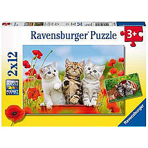 Puzzle 2x12 Kittens