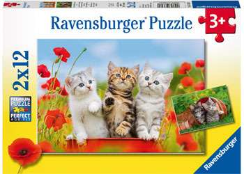 Puzzle 2x12 Kittens