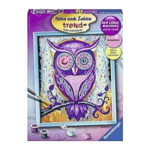 Paint by Numbers 30X24cm Owl