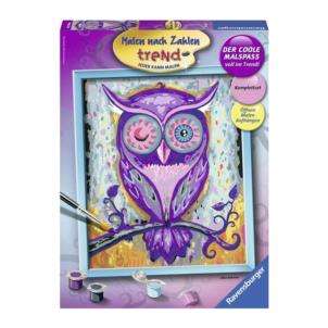 Paint by Numbers 30X24cm Owl