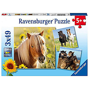 Puzzle 3x49 Horses