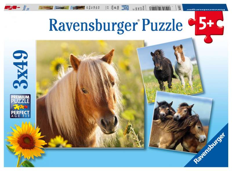 Puzzle 3x49 Horses