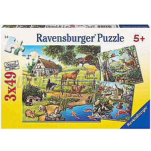 Puzzle 3x49 Animals