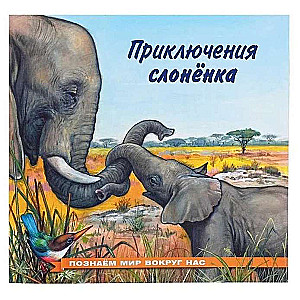 The Adventures of the Baby Elephant