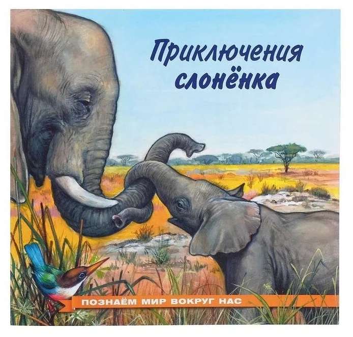 The Adventures of the Baby Elephant