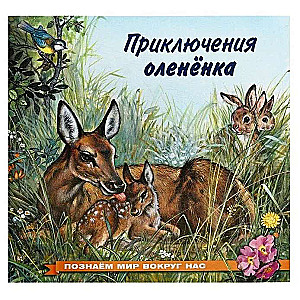The Adventures of the Fawn