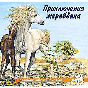 The Adventures of the Foal