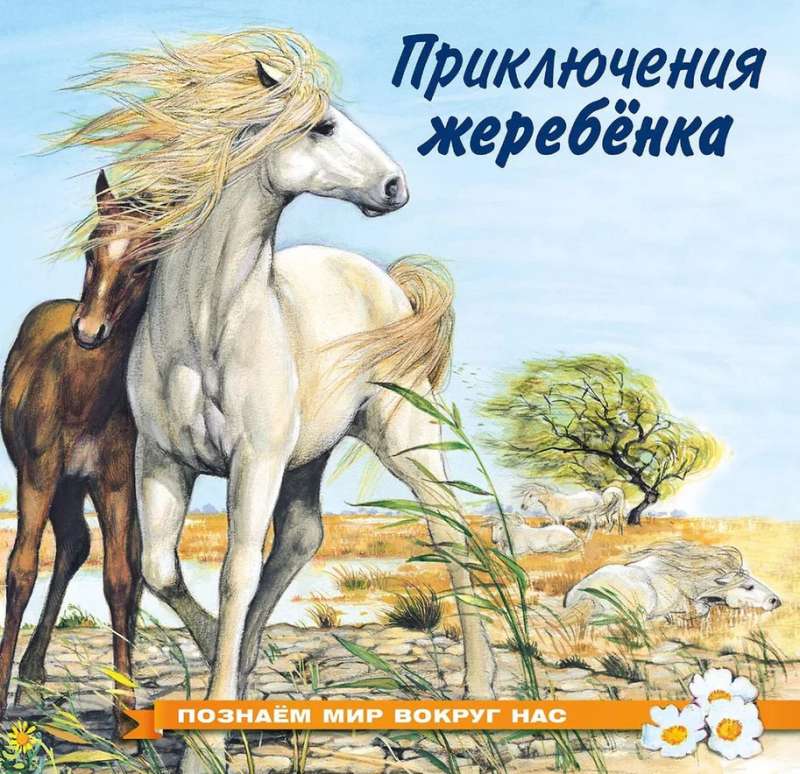The Adventures of the Foal