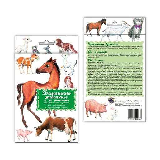 Didactic Cards - Pets