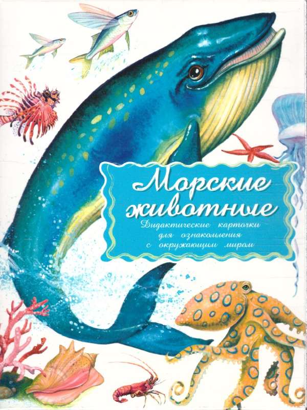 Didactic Cards - Marine Inhabitants