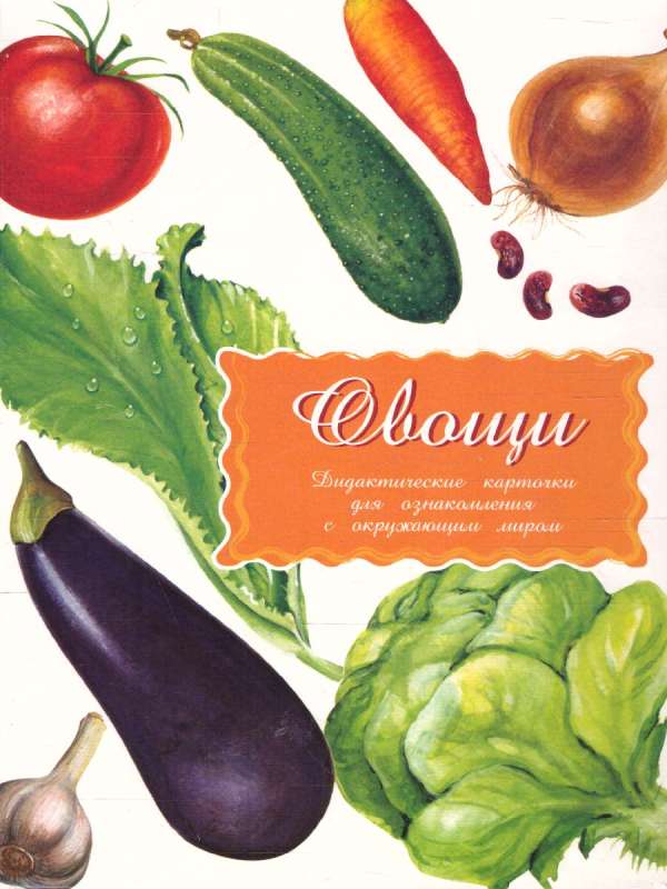 Didactic cards - Vegetables