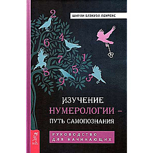 Studying Numerology - A Path to Self-Discovery. A Guide for Beginners