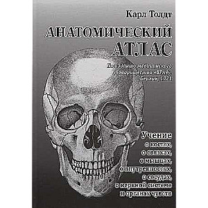 Anatomical Atlas