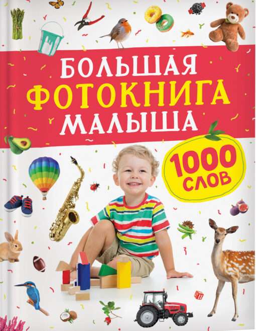 Big Baby Photo Book. 1000 Words