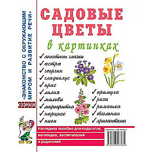 Garden flowers in pictures. A visual aid for teachers, speech therapists, educators, and parents.