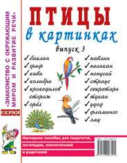 Birds in Pictures. Issue 3 Visual Aid for Educators, Speech Therapists, Educators, and Parents.