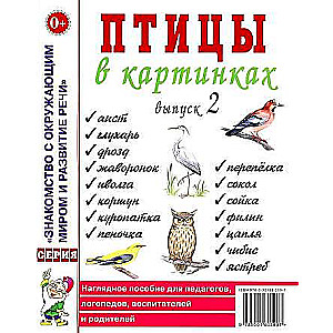 Birds in Pictures. Issue 2 Visual Aid for Educators, Speech Therapists, Caregivers, and Parents.