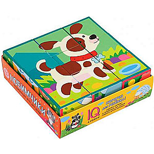 Smart cubes in a tray. 9 pieces. Favorites