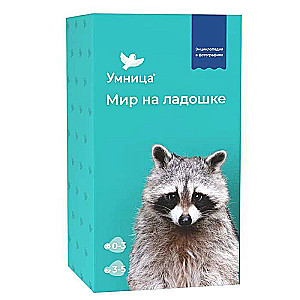 Developing Game - World on Palm Raccoon. Encyclopedia for Children