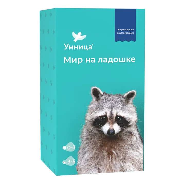 Developing Game - World on Palm Raccoon. Encyclopedia for Children