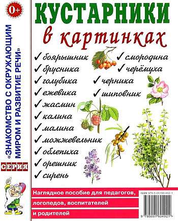 Shrubs in Pictures. Visual Aid for Teachers, Speech Therapists, Educators and Parents.