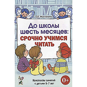 Six Months to School: Urgently Learning to Read. Planning and Outlines of Lessons with Children Aged 5-7 Years.