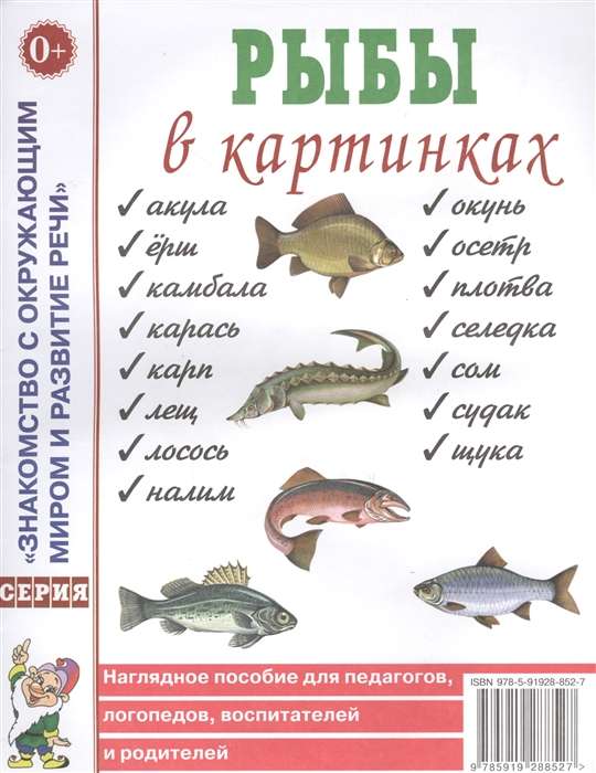 Fish in Pictures. A Visual Aid for Teachers, Speech Therapists, Educators, and Parents.