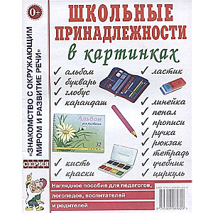 School Supplies in Pictures. A Visual Aid for Educators, Tutors, Speech Therapists, and Parents.