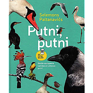 Birds, birds