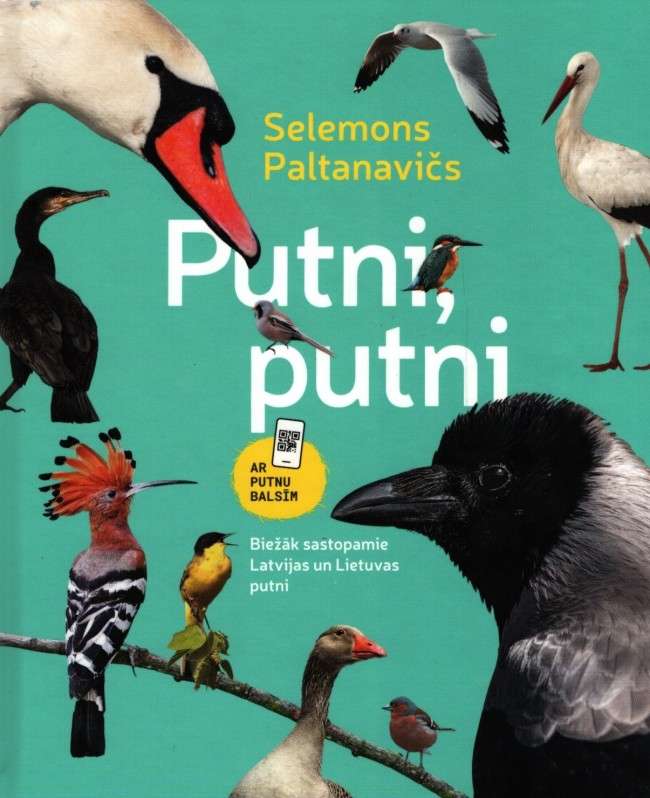 Birds, birds