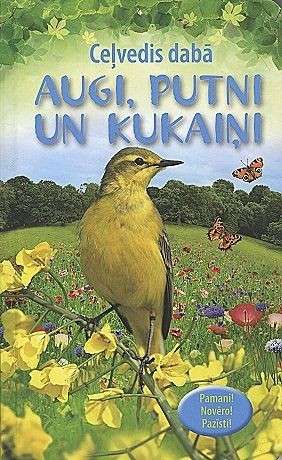 A Guide to Nature: Plants, Birds and Insects
