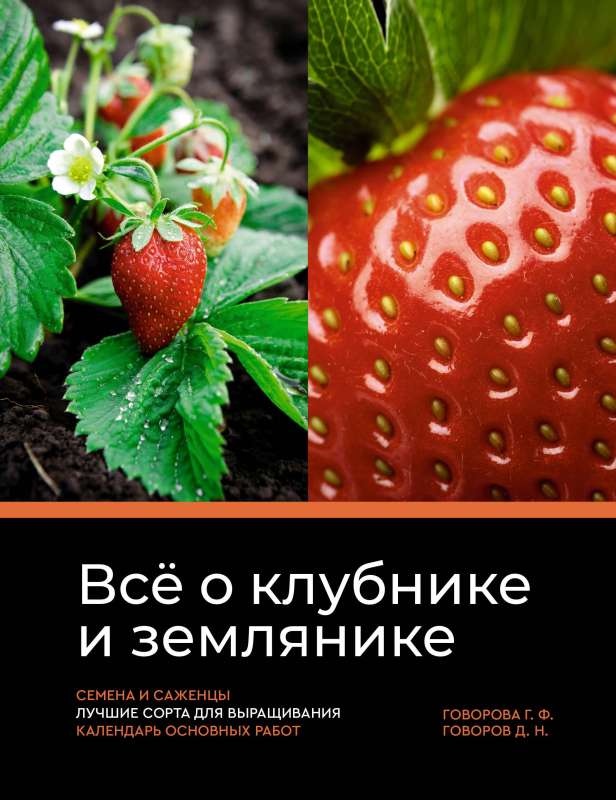 Everything about strawberries and wild strawberries. Seeds and seedlings. The best varieties for growing. Calendar of main works