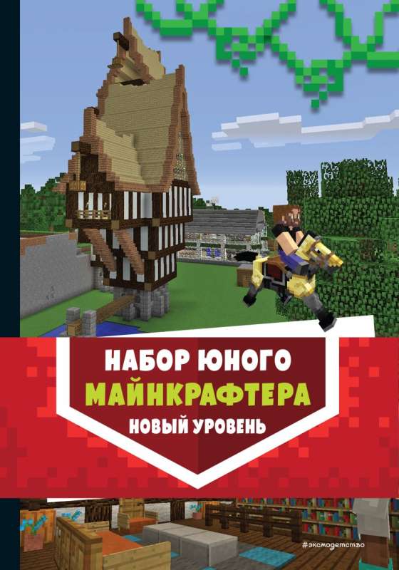 Set of a Young Minecrafter. New Level
