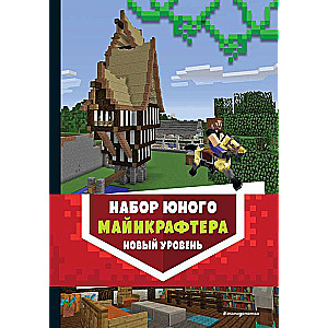 Set of a Young Minecrafter. New Level
