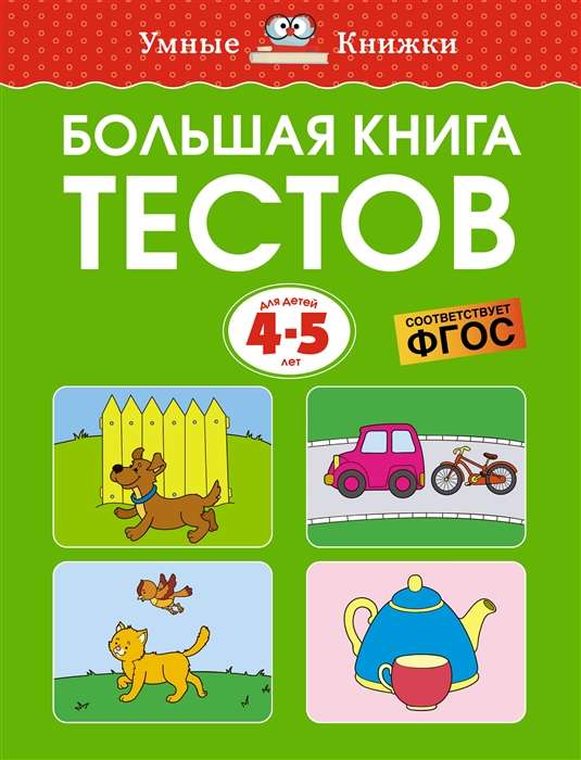 Big Book of Tests for 4-5 Years Old