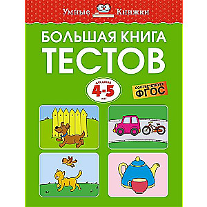 Big Book of Tests for 4-5 Years Old