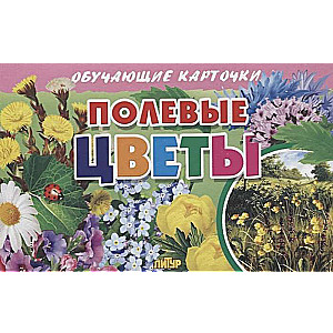Field Flowers