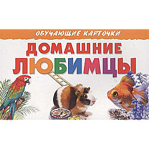 Educational Cards. Pets