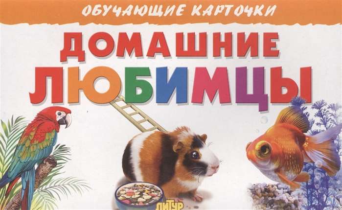 Educational Cards. Pets